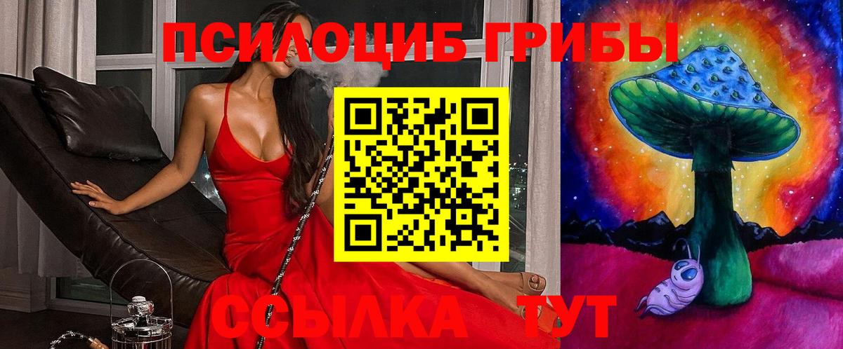 Галлюциногенные грибы Psilocybine cubensis Лесозаводск